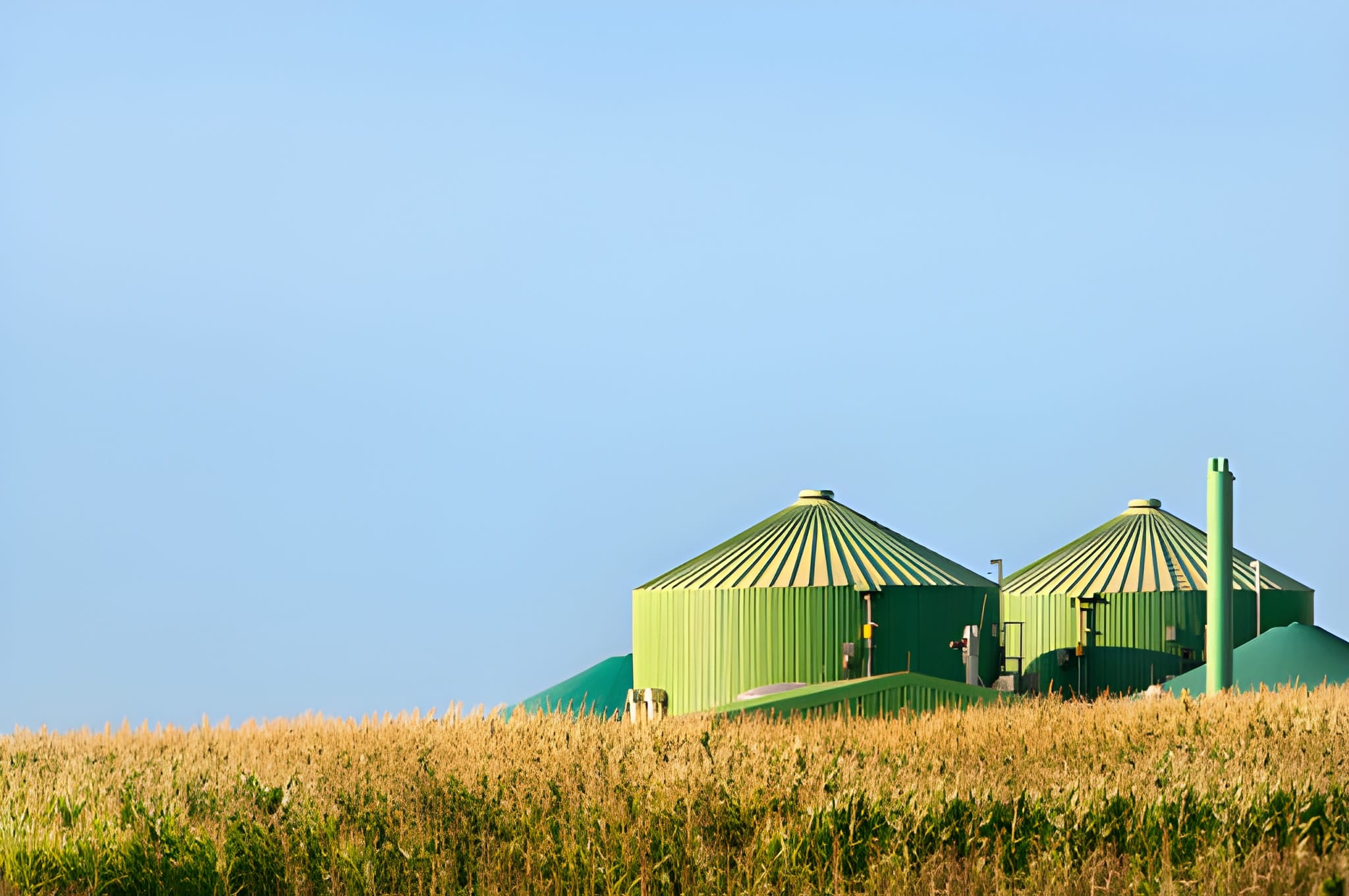 biomass